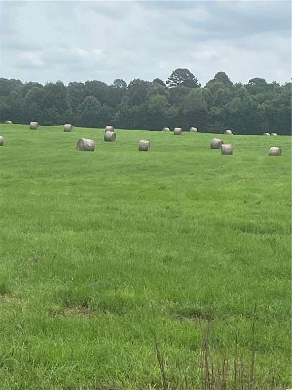 40 Acres of Land for Sale in Clarksville, Arkansas