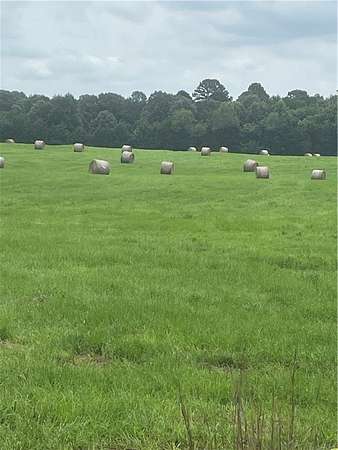 40 Acres of Land for Sale in Clarksville, Arkansas