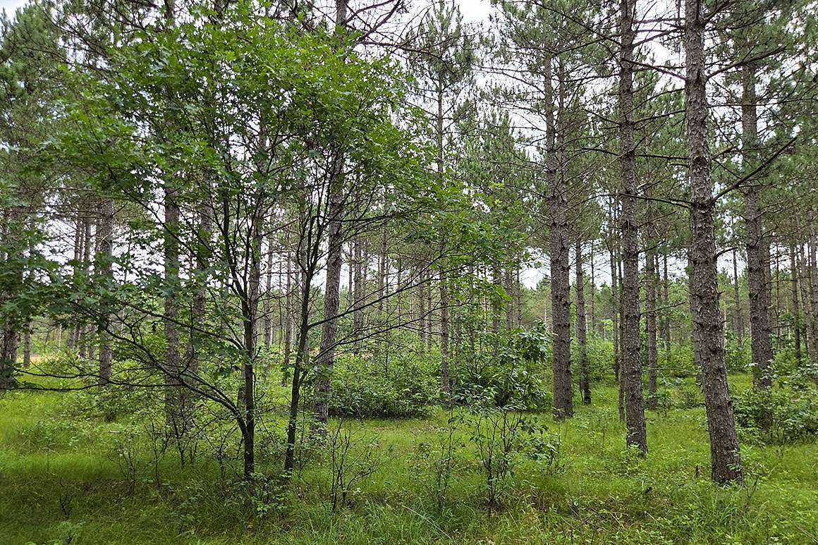 2 Acres of Residential Land for Sale in Rome, Wisconsin