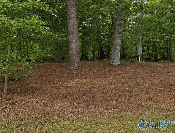 0.51 Acres of Residential Land for Sale in Centre, Alabama