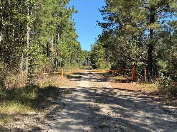 39.4 Acres of Recreational Land for Sale in Townsend, Georgia