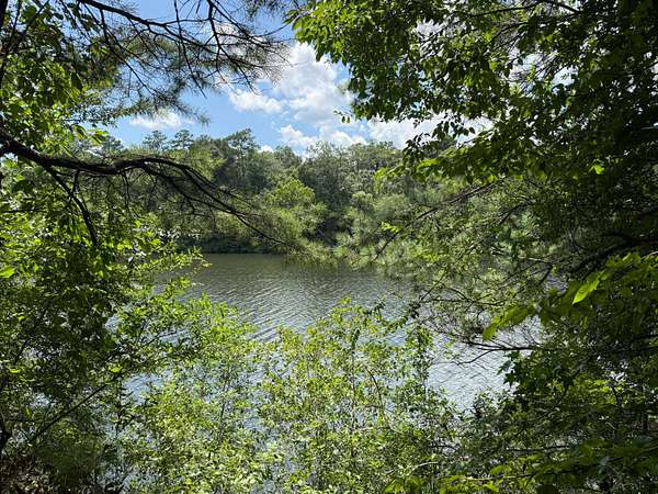 83 Acres of Recreational Land for Sale in Blakely, Georgia