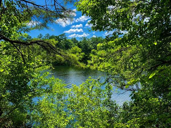83 Acres of Recreational Land for Sale in Blakely, Georgia
