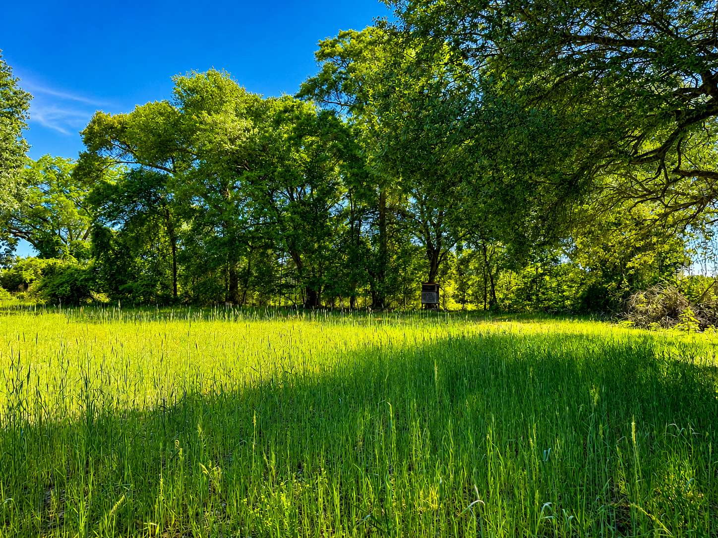 262 Acres of Recreational Land for Sale in Newton, Georgia