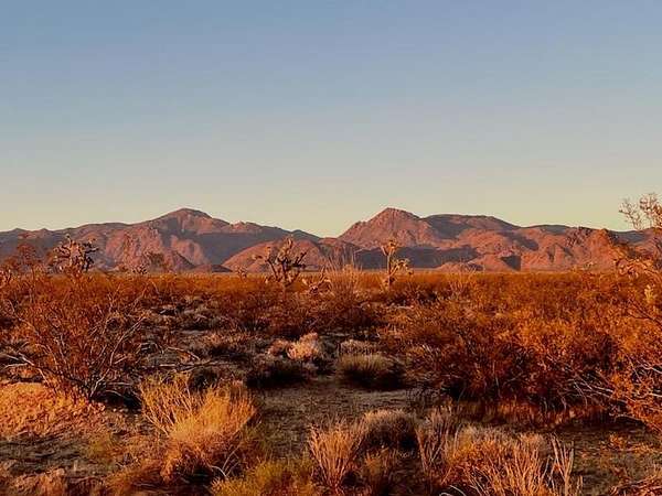 40 Acres of Land for Sale in Yucca, Arizona