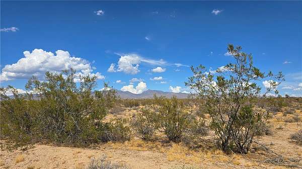 40 Acres of Land for Sale in Yucca, Arizona