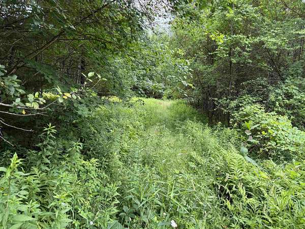 0.48 Acres of Residential Land for Sale in Rumney, New Hampshire