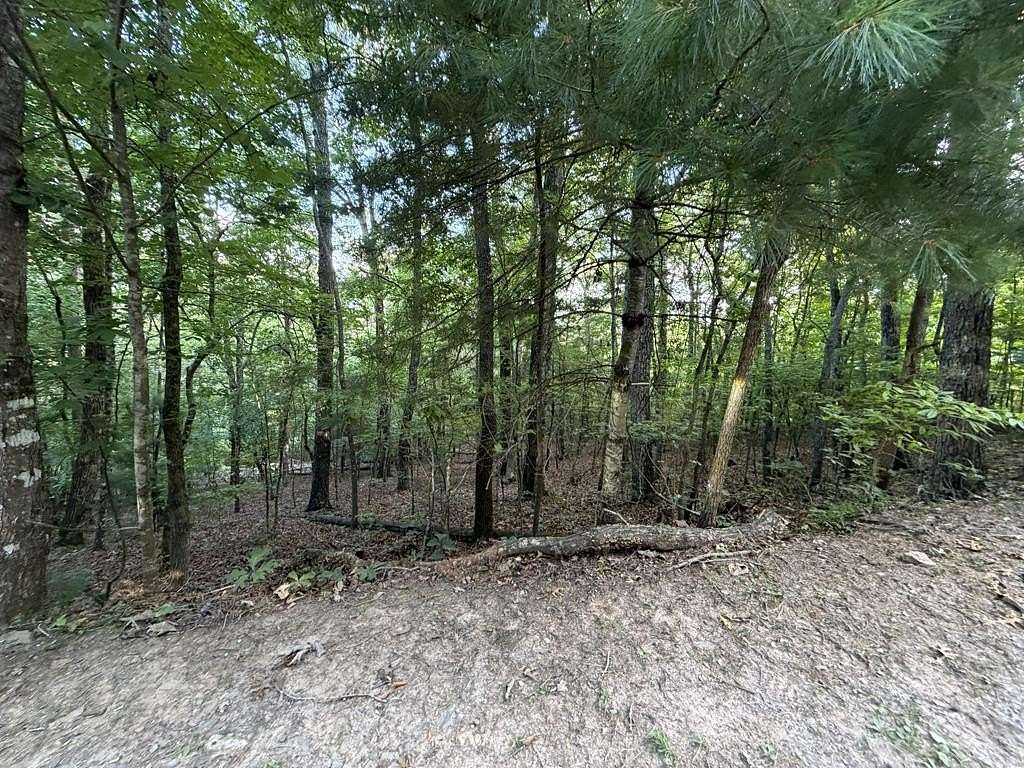 0.4 Acres of Residential Land for Sale in Blue Ridge, Georgia
