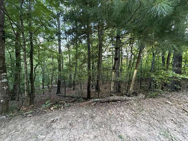 0.4 Acres of Residential Land for Sale in Blue Ridge, Georgia