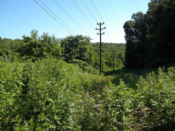 25 Acres of Agricultural & Residential Land for Sale in Liberty, Pennsylvania