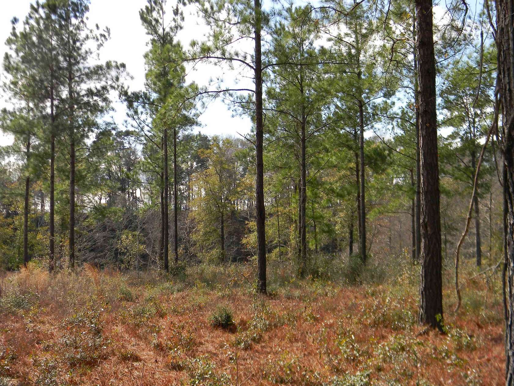 1.84 Acres of Residential Land for Sale in Andalusia, Alabama