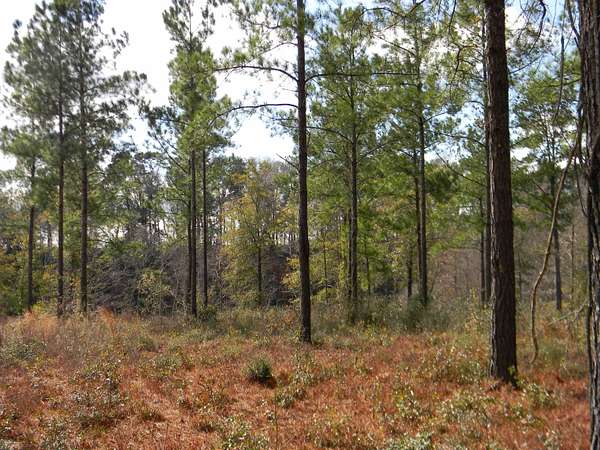 1.84 Acres of Residential Land for Sale in Andalusia, Alabama