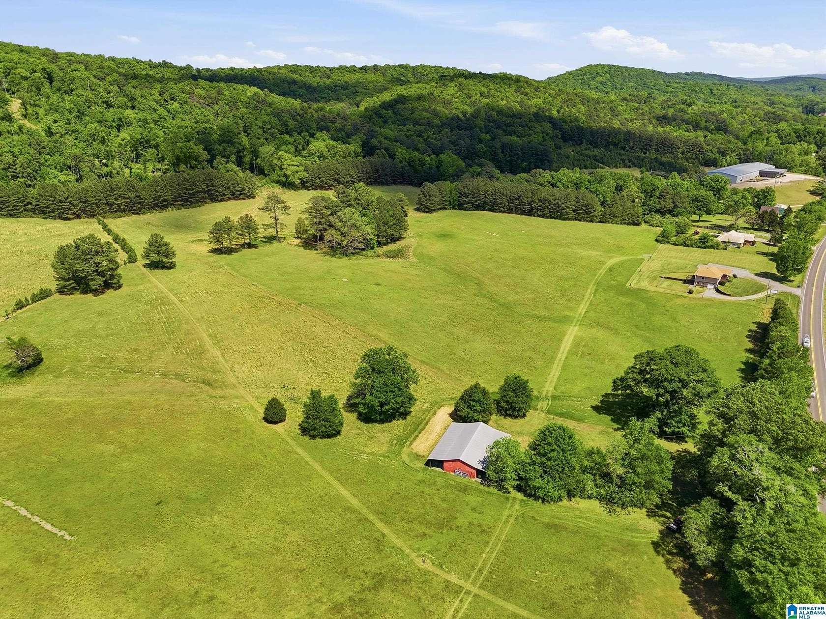 68 Acres of Land for Sale in Springville, Alabama