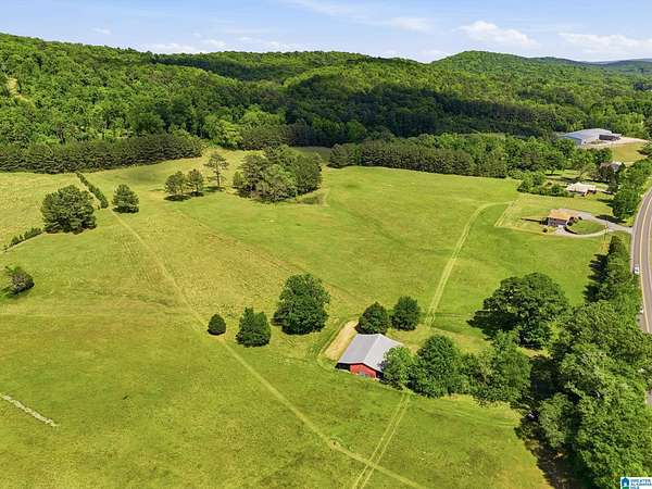 68 Acres of Land for Sale in Springville, Alabama