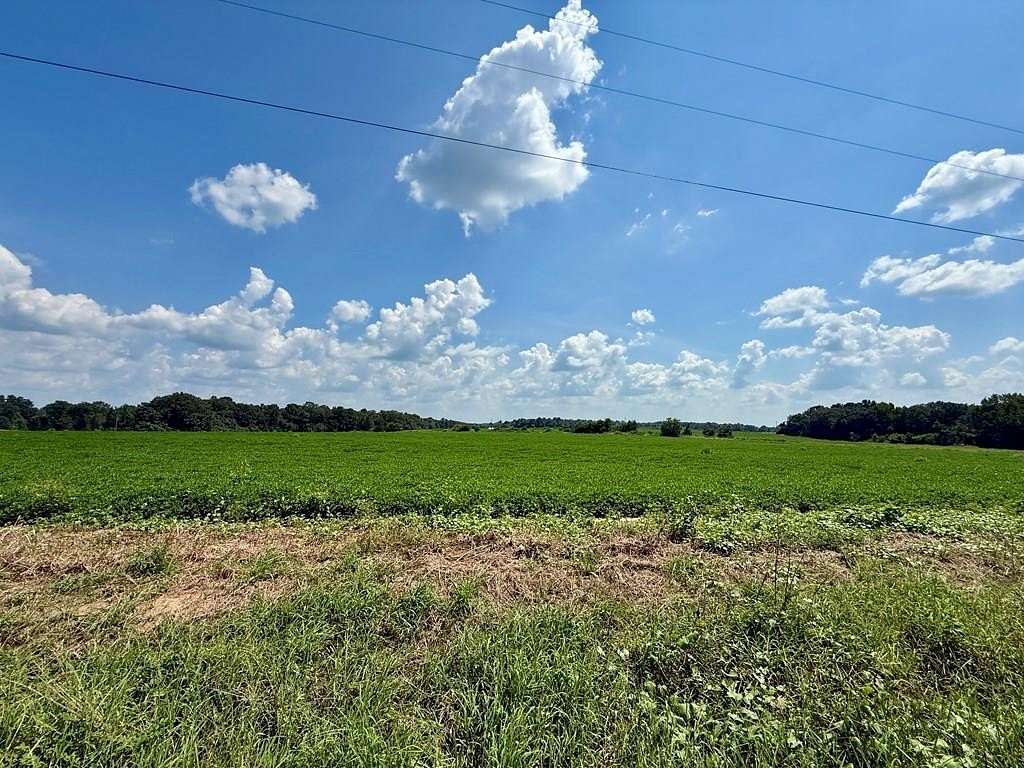 6.6 Acres of Residential Land for Sale in Newton, Alabama
