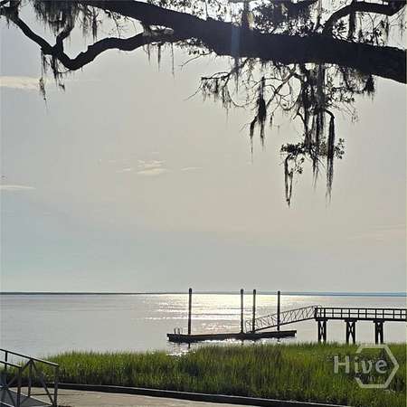 0.58 Acres of Residential Land for Sale in Townsend, Georgia