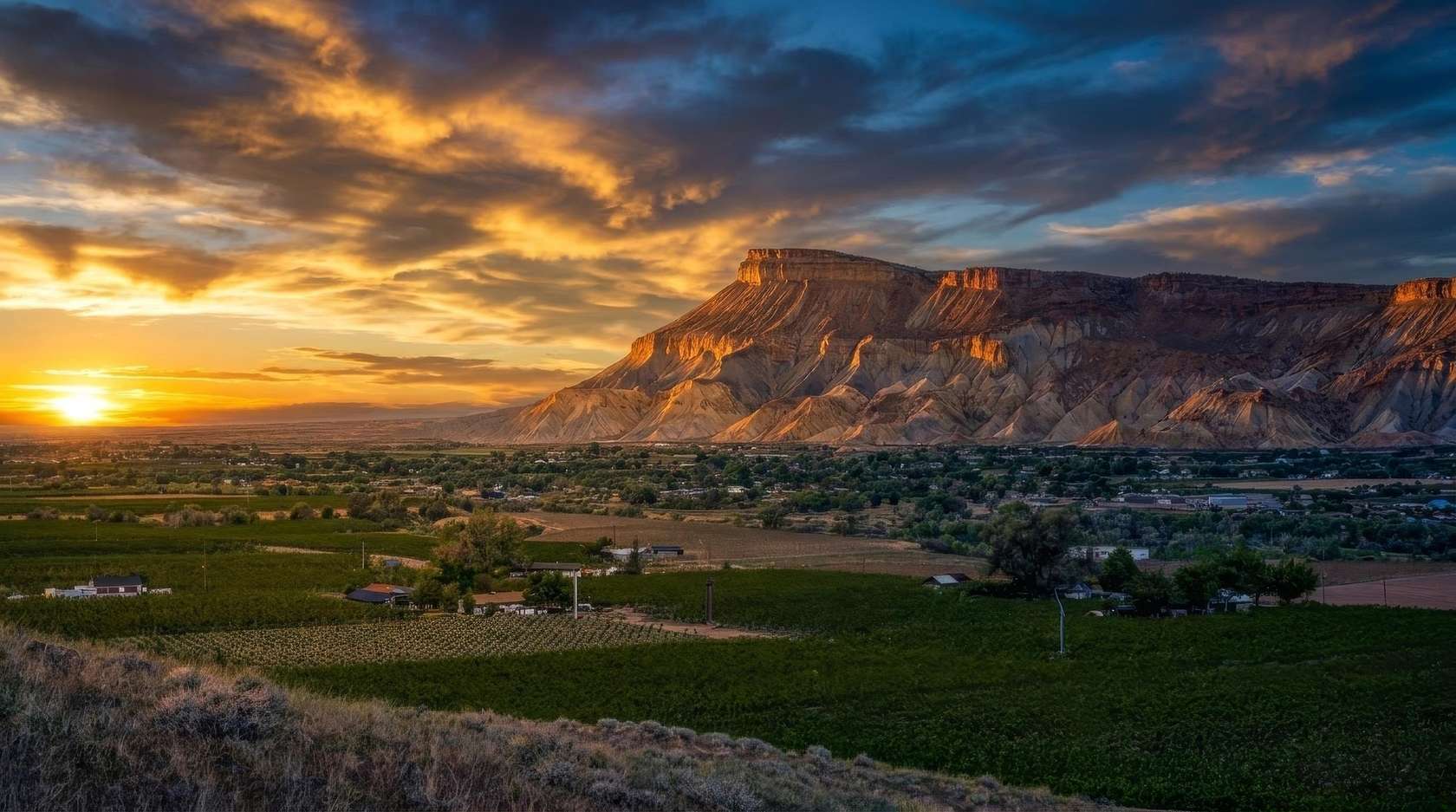 5.5 Acres of Residential Land for Sale in Palisade, Colorado