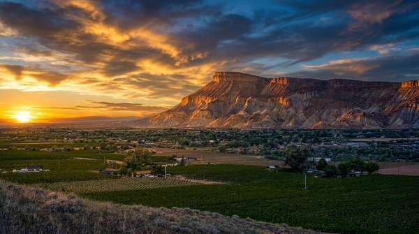 5.5 Acres of Residential Land for Sale in Palisade, Colorado
