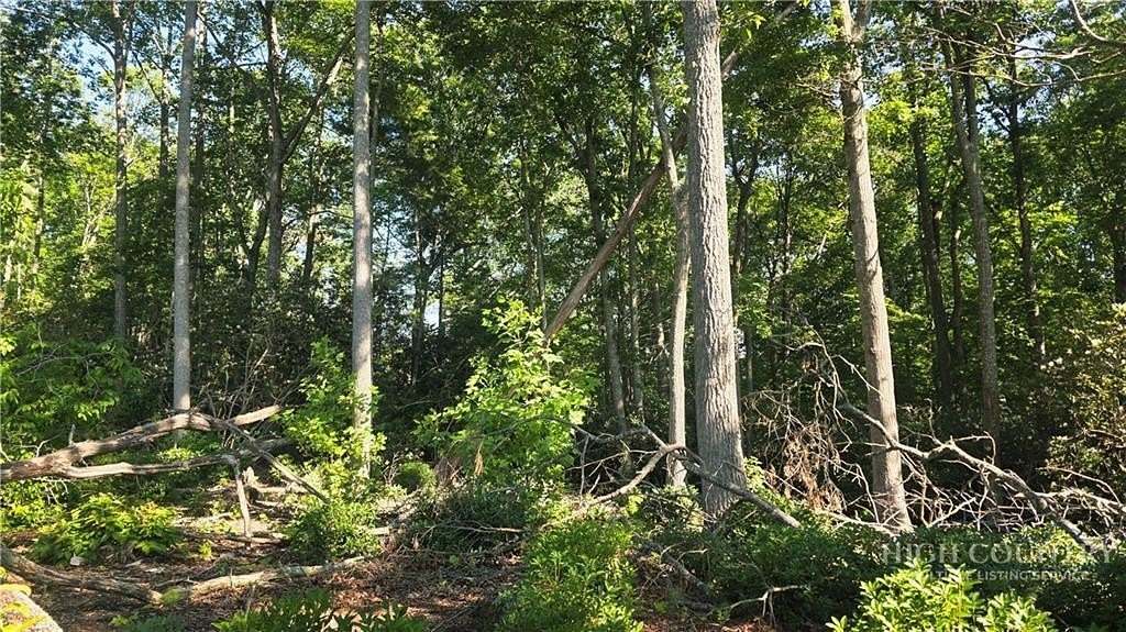 0.56 Acres of Residential Land for Sale in Spruce Pine, North Carolina