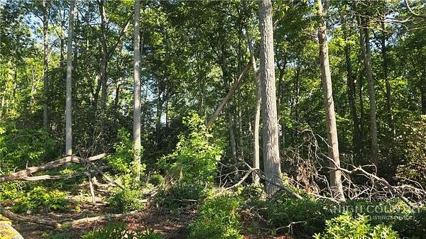 0.56 Acres of Residential Land for Sale in Spruce Pine, North Carolina