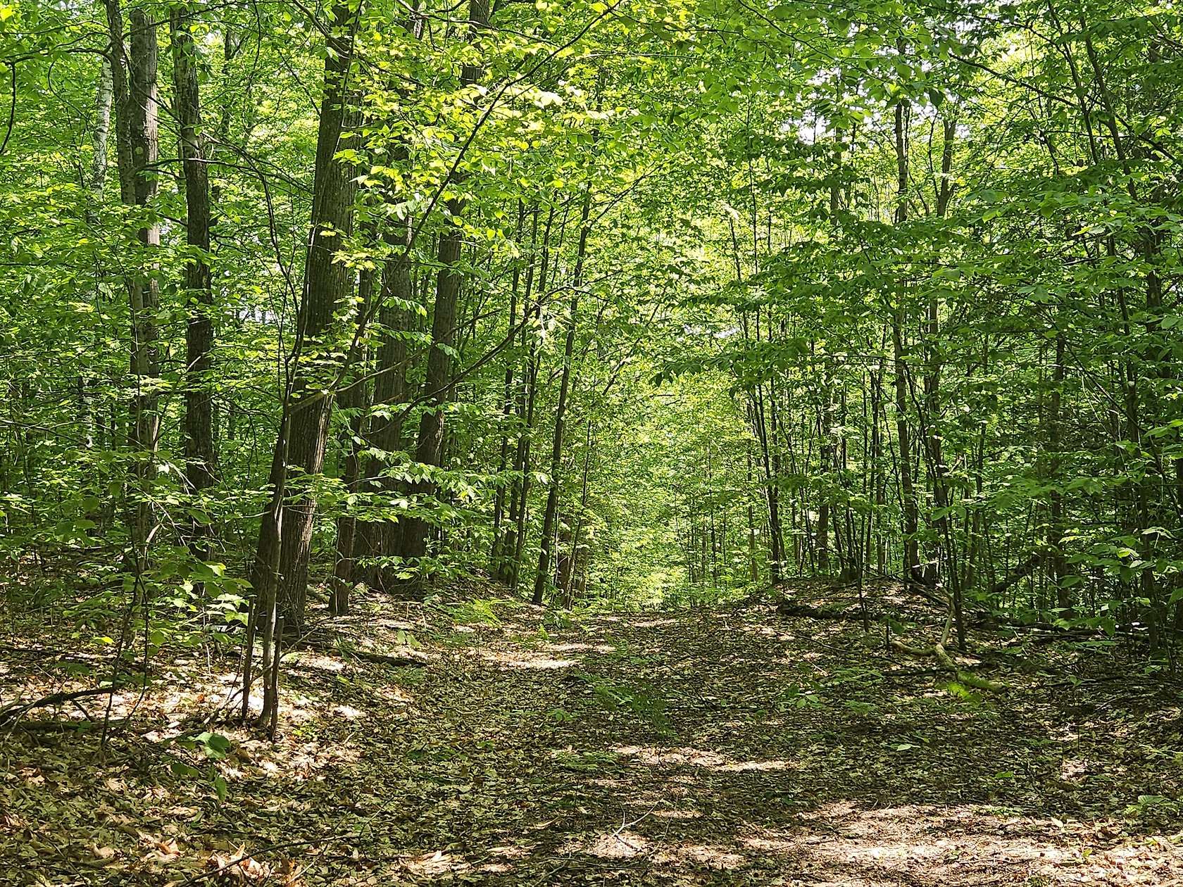 20 Acres of Recreational & Residential Land for Sale in Temple, Maine