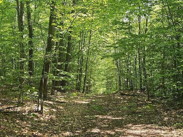 20 Acres of Recreational & Residential Land for Sale in Temple, Maine
