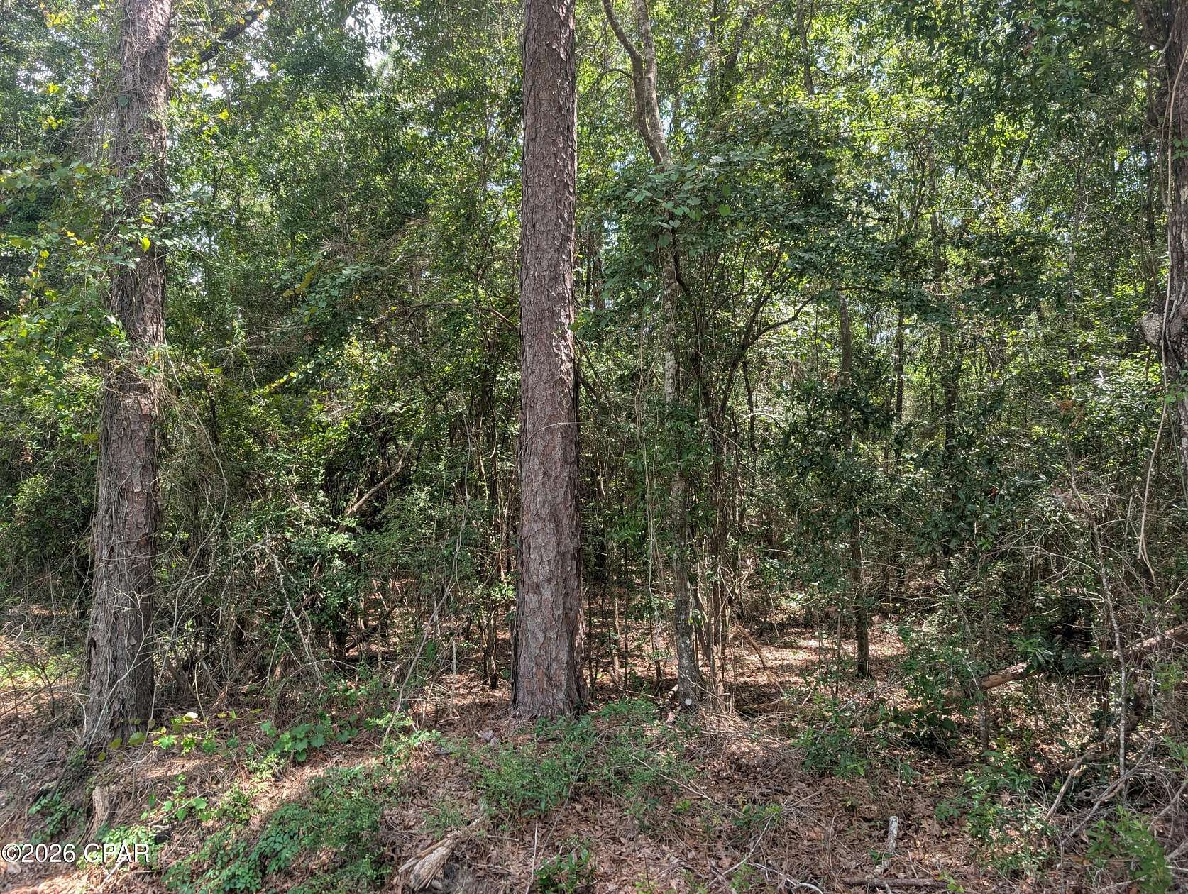 0.58 Acres of Residential Land for Sale in Bonifay, Florida