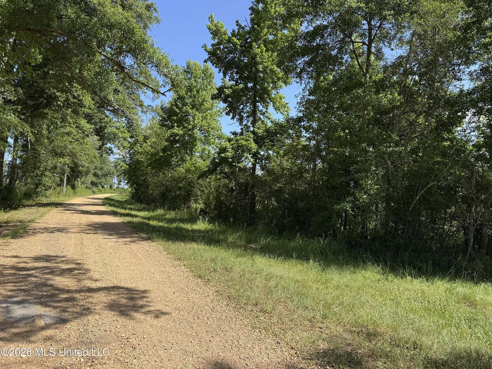 40 Acres of Recreational & Residential Land for Sale in Ruth, Mississippi
