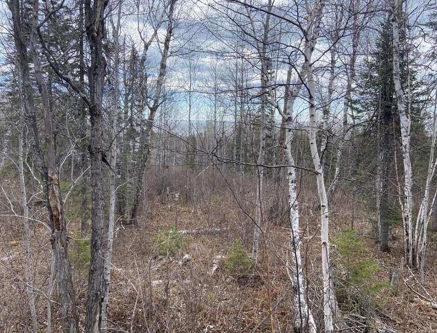3.22 Acres of Land for Sale in Silver Bay, Minnesota