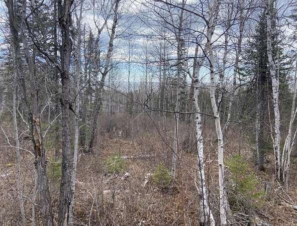 3.22 Acres of Land for Sale in Silver Bay, Minnesota