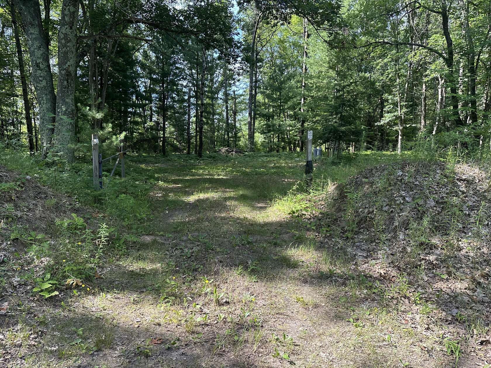 20 Acres of Recreational Land for Sale in Bitely, Michigan