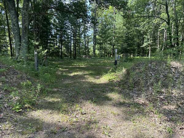 20 Acres of Recreational Land for Sale in Bitely, Michigan