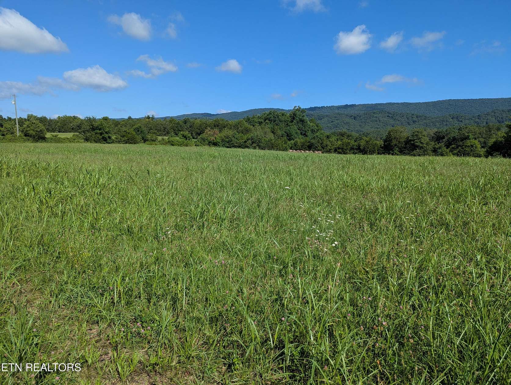 1 Acre of Land for Sale in Rutledge, Tennessee