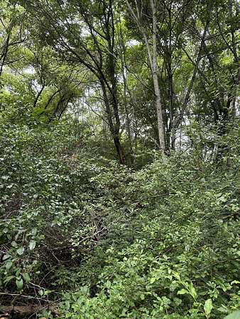 3.5 Acres of Residential Land for Sale in Williamsburg, West Virginia