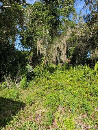 0.27 Acres of Residential Land for Sale in Hernando, Florida