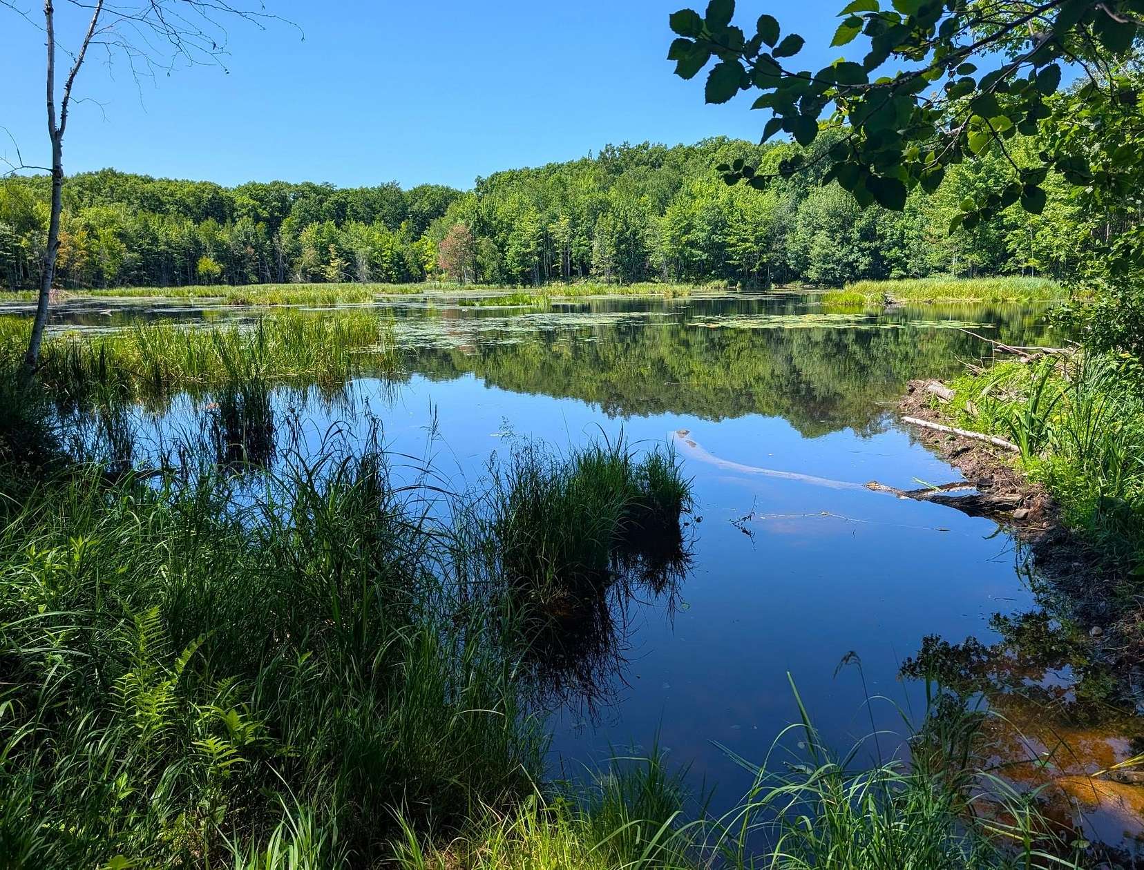 40 Acres of Recreational Land for Sale in Exeland, Wisconsin