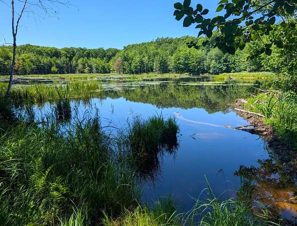 40 Acres of Recreational Land for Sale in Exeland, Wisconsin