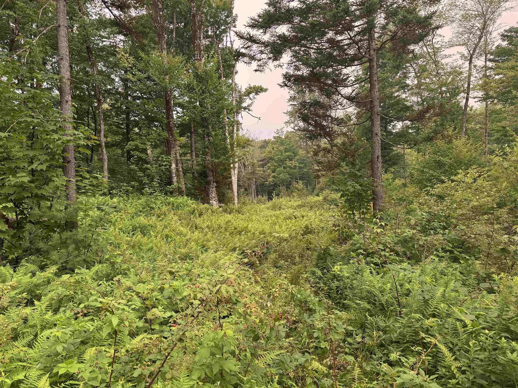 5 Acres of Residential Land for Sale in Dover, Vermont