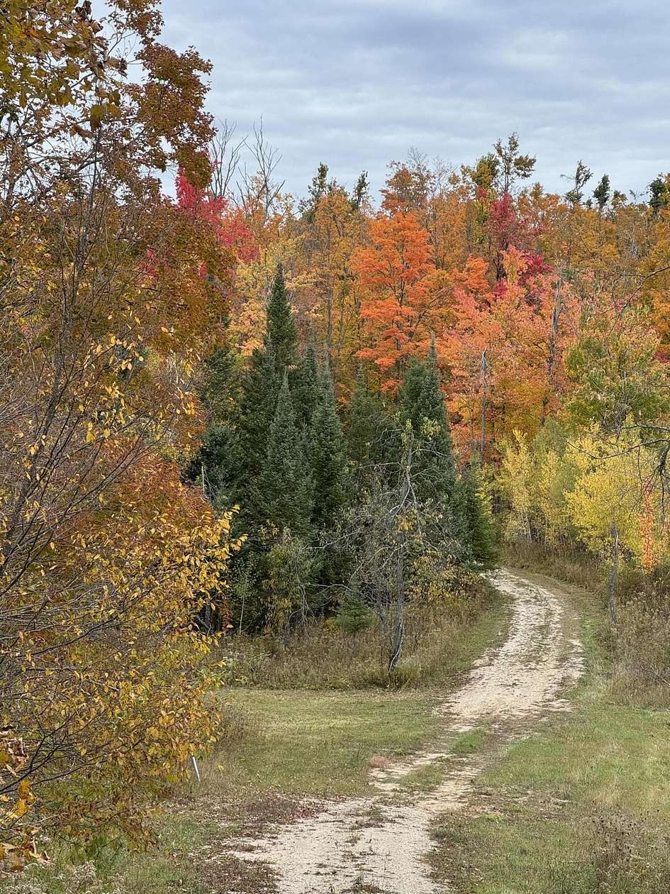22 Acres of Recreational Land for Sale in Vanderbilt, Michigan