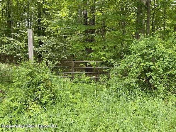 54 Acres of Recreational Land for Sale in Cairo, New York