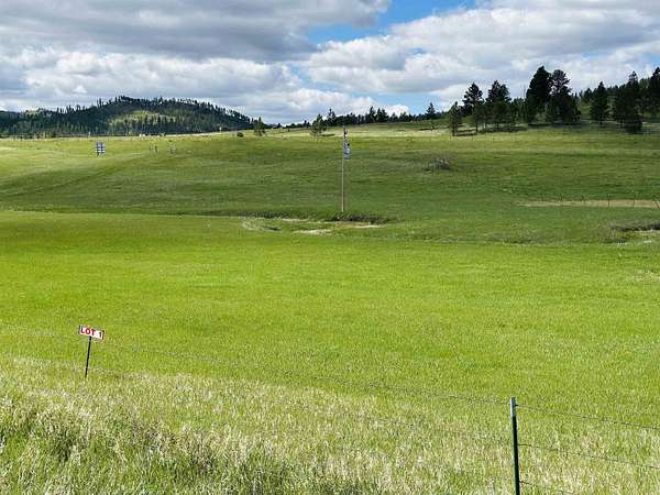 5 Acres of Residential Land for Sale in Hill City, South Dakota