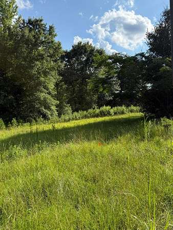 3.9 Acres of Land for Sale in Carbon Hill, Alabama
