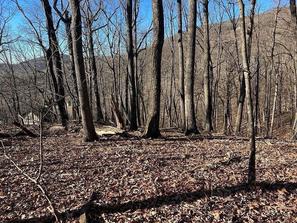 1 Acre of Residential Land for Sale in Jasper, Georgia
