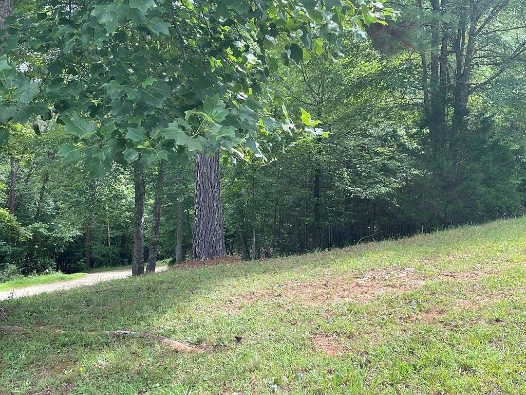1.12 Acres of Residential Land for Sale in Blairsville, Georgia