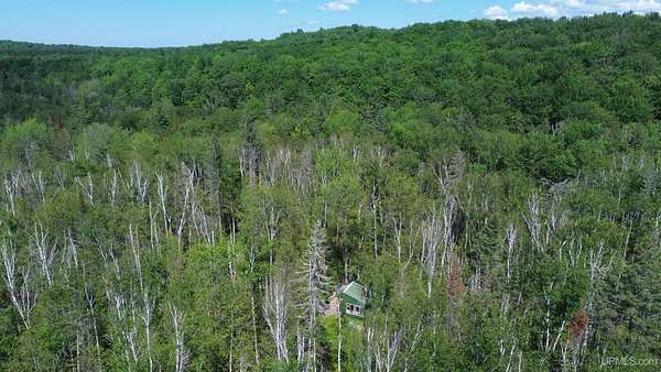 80 Acres of Recreational & Residential Land for Sale in Wetmore, Michigan