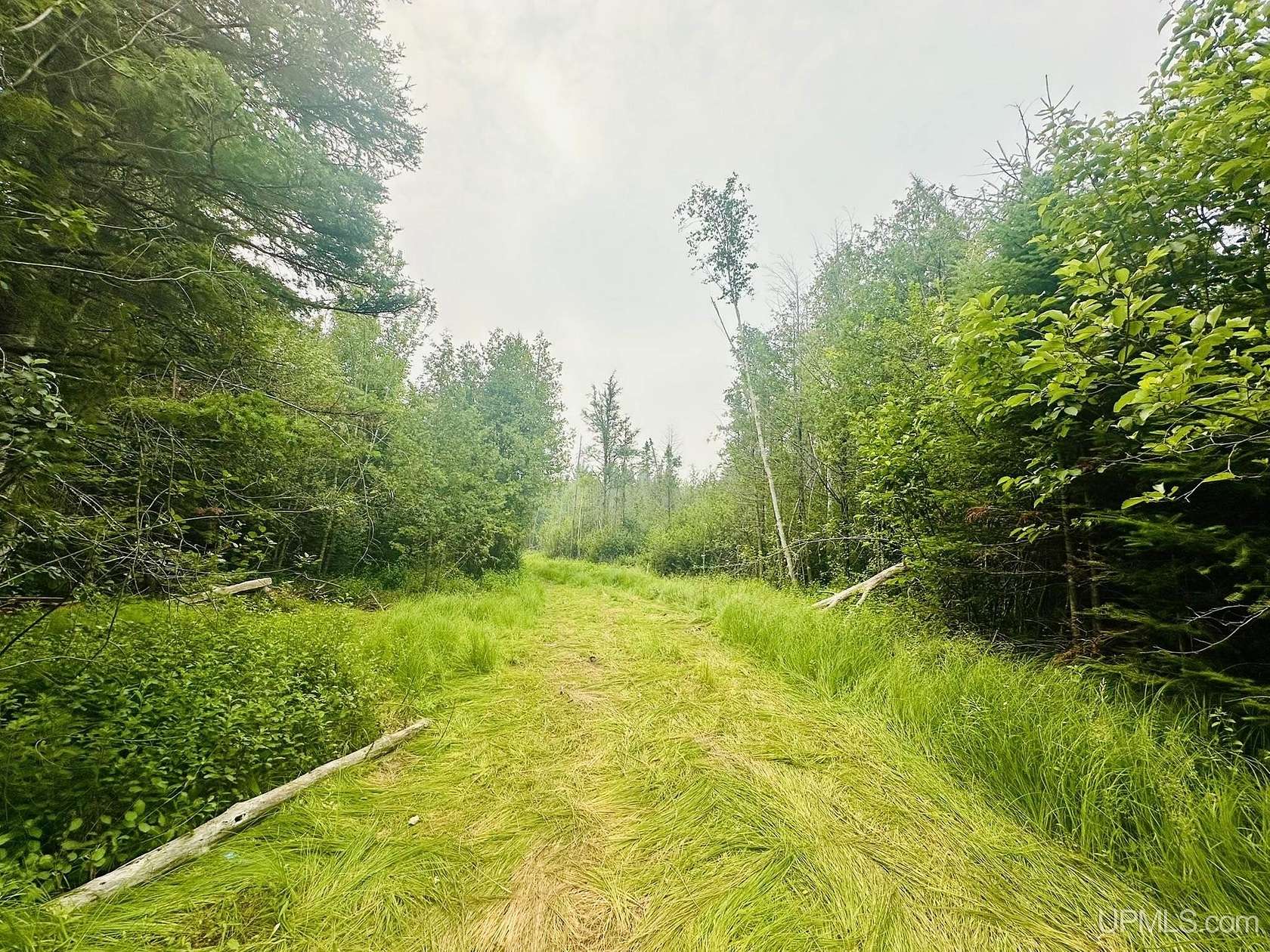 40 Acres of Recreational Land for Sale in Bark River, Michigan