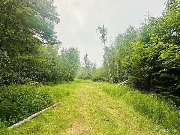 40 Acres of Recreational Land for Sale in Bark River, Michigan