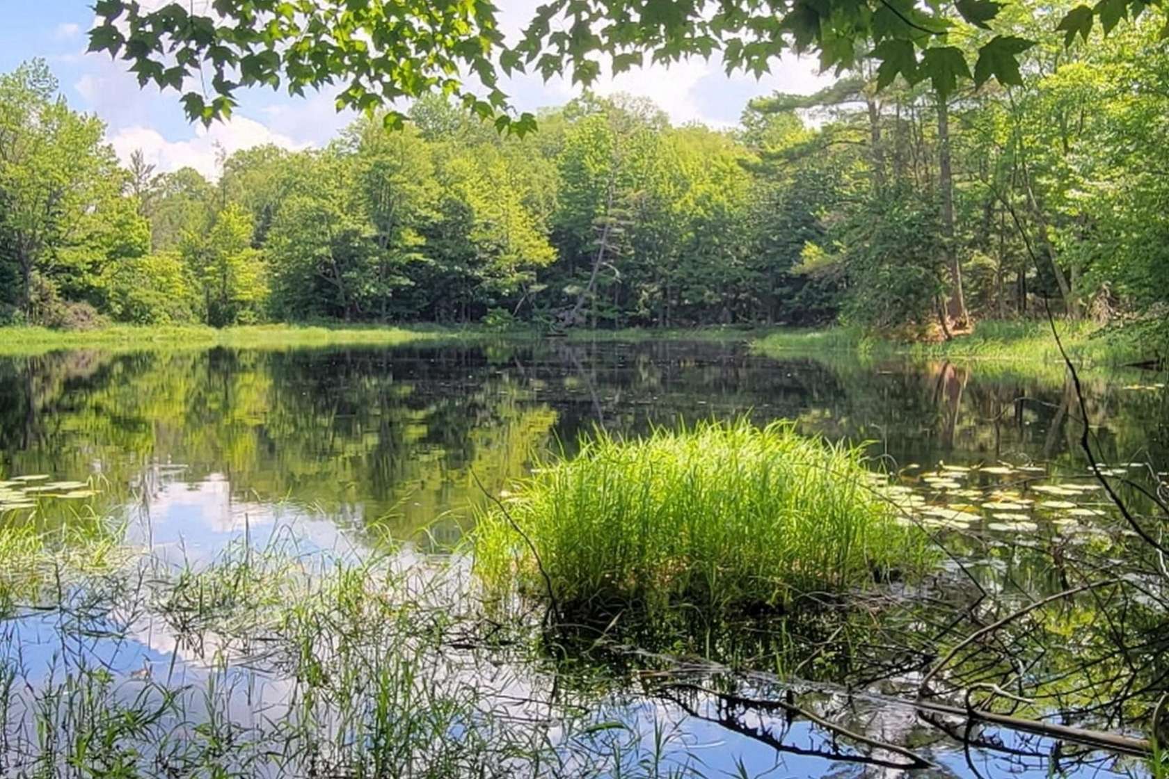 1.55 Acres of Residential Land for Sale in Presque Isle, Wisconsin