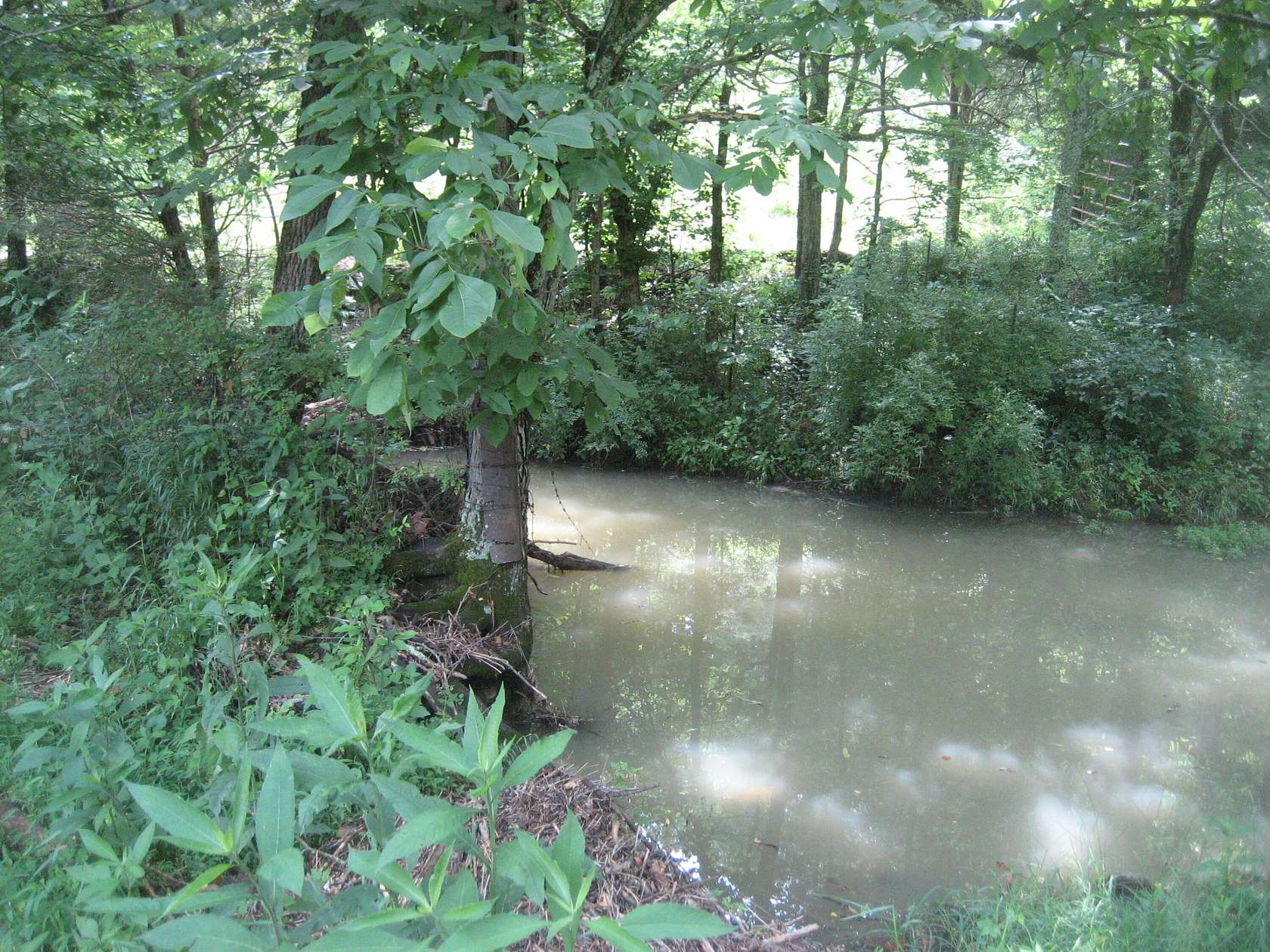 95 Acres of Recreational & Residential Land for Sale in Berry, Kentucky