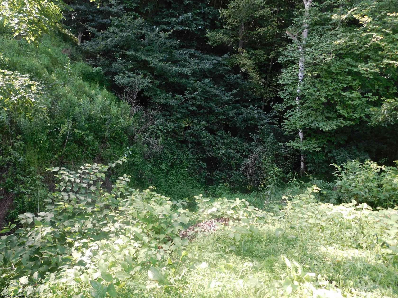 121 Acres of Recreational & Residential Land for Sale in Newburg, West Virginia